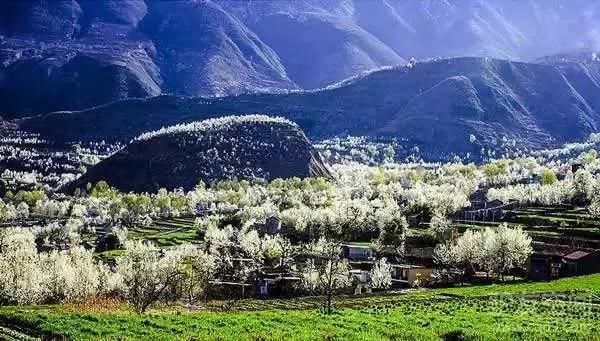 三月,去看中国最美春光