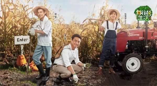 angelababy被扒假吃爆米花遭尬黑，节目组出面澄清语气强势遭众怒