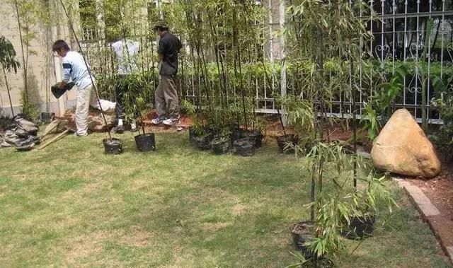 时光■花园菜园打造记：守望家园，守望宁静时光！