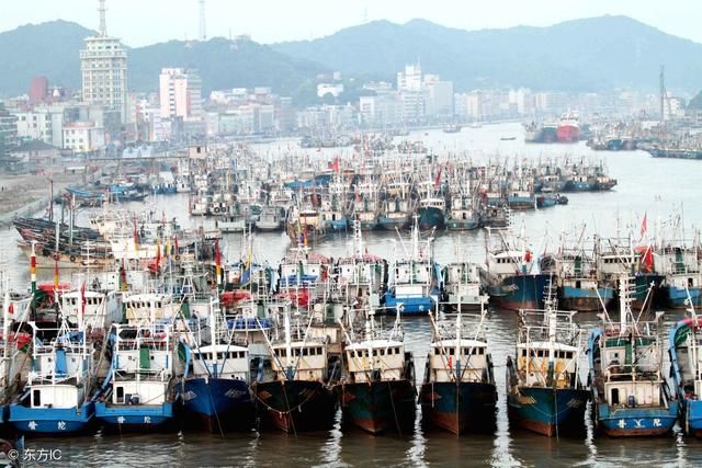 江浙沪梭子蟹100元一斤,梭子蟹疯涨背后原来是它们