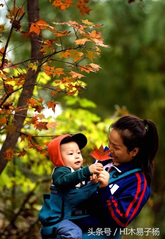 中华大地一片美丽秋景