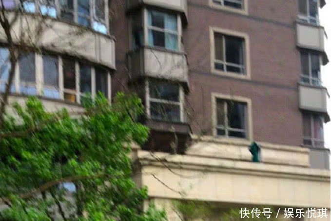 心虚马蓉发声明反驳父亲派人撬锁事件后，却疯狂买水军转发！