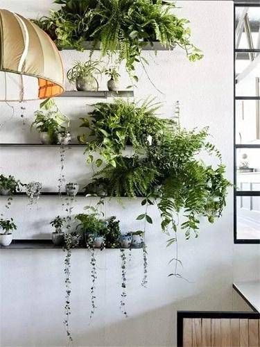  『绿植太』家中的绿植太多？没关系，有花架帮助你，这样选择准没错