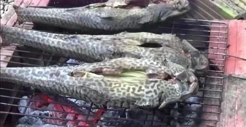 中国游客想不通:在中国被人嫌弃的清道夫,却在印度有这用途?