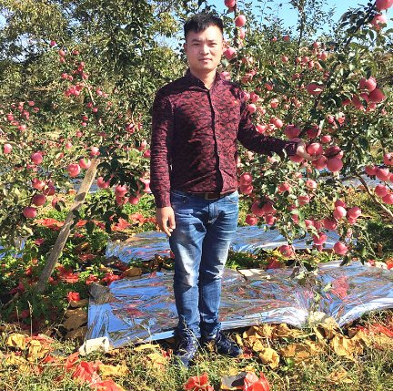 「苦心」大学生回农村苦心创业，种植新型果树，当年便能坐拥一