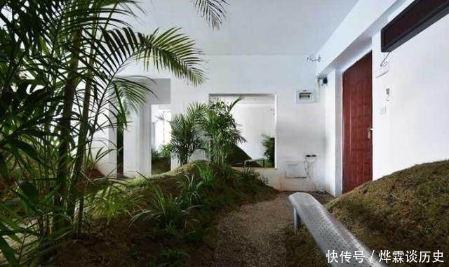  男人@3个男人把出租屋改造成公园, 物业很抓狂, 房东却高兴坏了