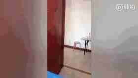 回家看到父母的视频