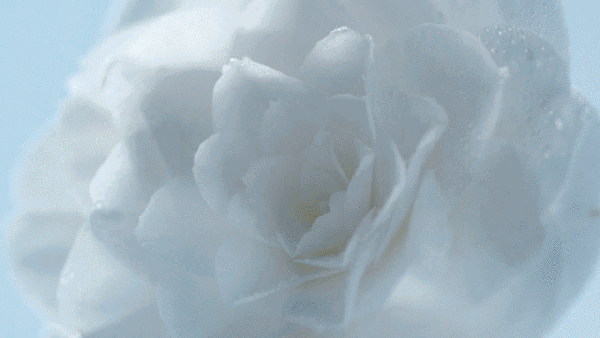 围观| 不用美颜照样美翻，为啥刘雯的夏天妆容就能这么持久?