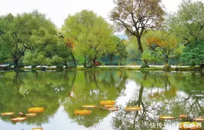 心动不如行动,我与杭州有个约定