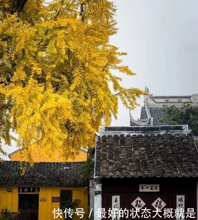 佛音袅袅,金黄满地,银杏配古刹,绝美!