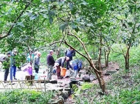 杭州最“低调”的一个景点，为何排队的本地人比游客还要多？