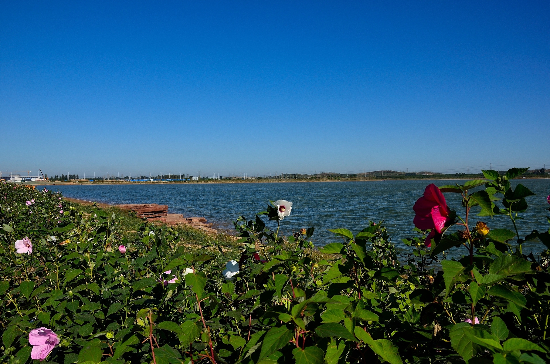 河南很可悲的2个城市，一个是全国百强城市，一个是濮阳