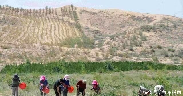  中国人■世界上最“悲催”的沙漠，中国人用来种土豆，产量每亩