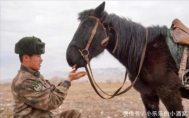 复勒瓦:军马“黑风”,边防官兵的亲密战友