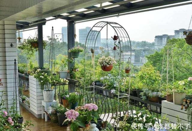 高度@阳台别瞎养花,这样巧搭配,美出新高度,美色不浪费