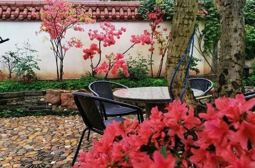  花园@想回到农村，把老家改造成花园，庭前种花，屋后种菜！
