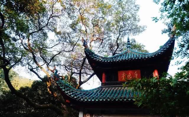 独立寒秋，湘江北去，橘子洲头，长沙烟火不易冷！