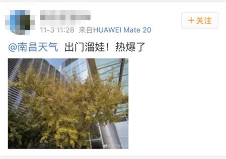  「舒琼」最低3℃！两股冷空气扑向江西！然而南昌接下来…