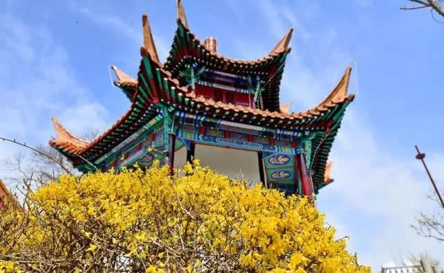 徐州这两天唱起了“小晴歌” 又是一年秋意浓，赏秋正当时！