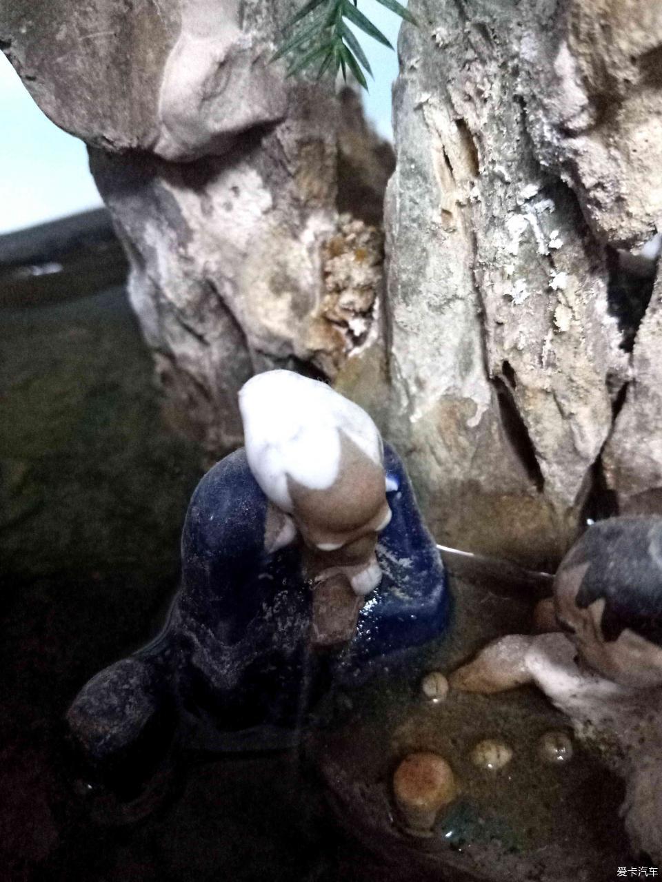 小山水盆景里的大千世界