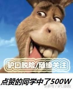 《中国新说唱》本周开播！吴亦凡告造谣者！小青龙变“小肥龙”！