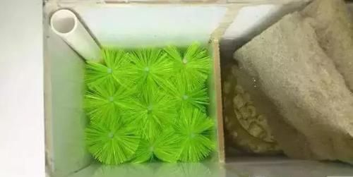 鱼缸：还在用鱼缸养鱼, 太难看了, 在阳台砌个鱼池漂亮又拉风!