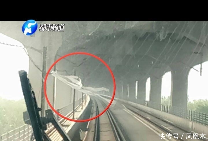 昨天京广高铁紧急停车20分钟! 多趟列车晚点! 始作俑者就是你!