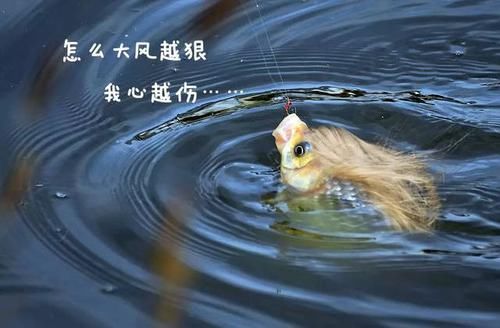 「遇上」春钓遇上大风天,巧用调钓避走漂