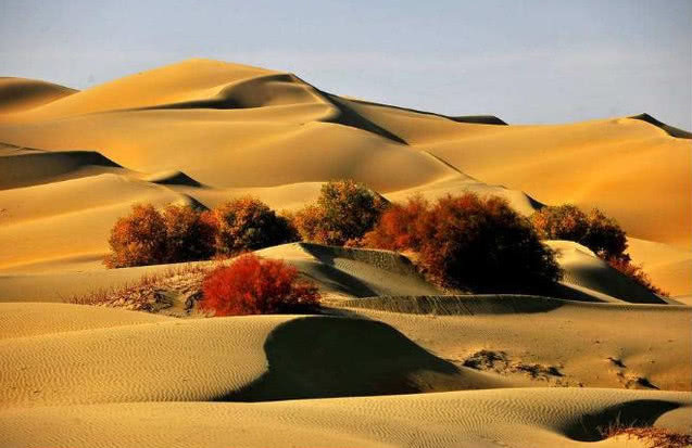 中国最大沙漠传来好消息发现一“底下宝库”,引来大批专家前往