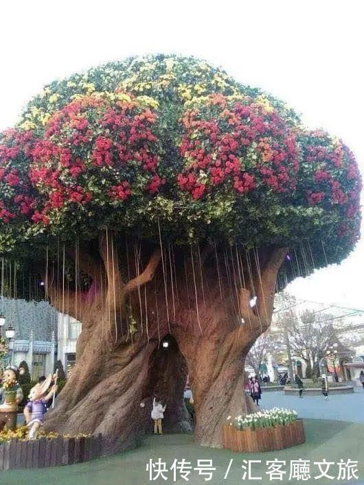 「罕见」大自然到底有多厉害?这些景象真是千年罕见!