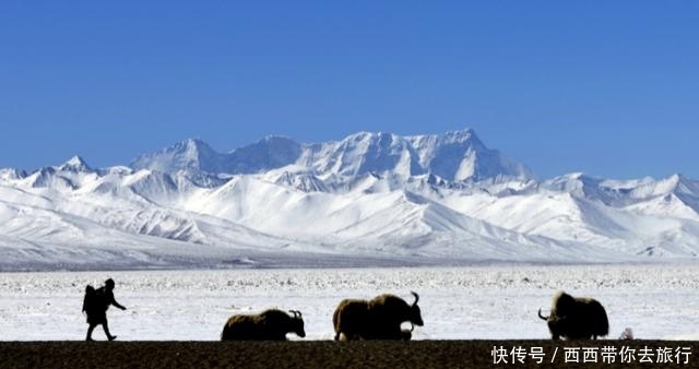你还好吗?那年进藏火车上同行的陌生人
