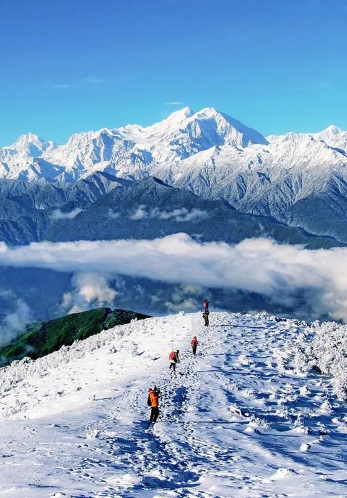 大熊猫国家公园 究竟长什么样?