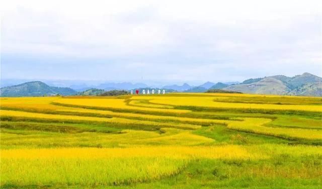 中国首条旅游高铁正式通车！400余个4A级以上景区，一路美食美景