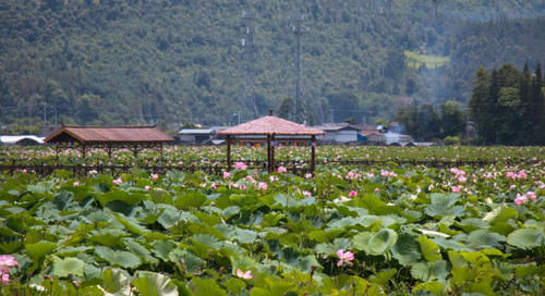  【重庆】中国最“吃香”的城市，地大物博，被很多人误以为是一