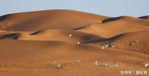  唯一@中国唯一以“货币命名”的城市，5000多年不改名，你知道是