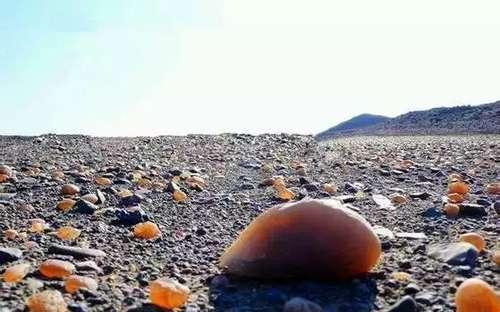 新疆捡石头最美季节又到了，教你在16个不同的地方捡石头！