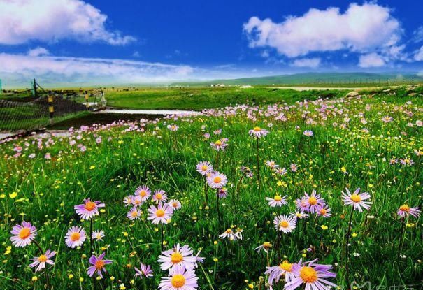  『解封』解封之后都是假期，推进几个说走就走的无病毒景点