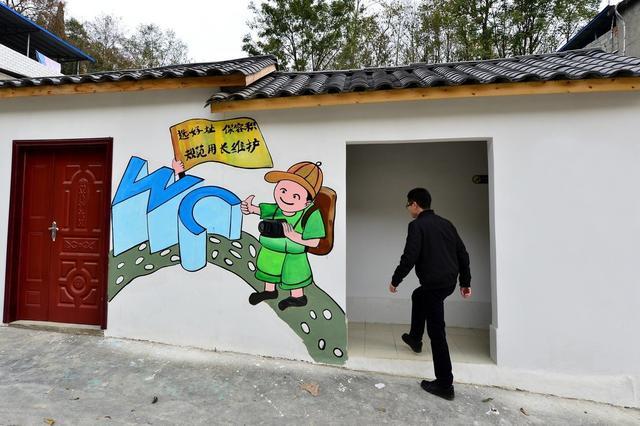  「村统一变还」农村各地改厕都给补贴多少钱？是农民自己改还是