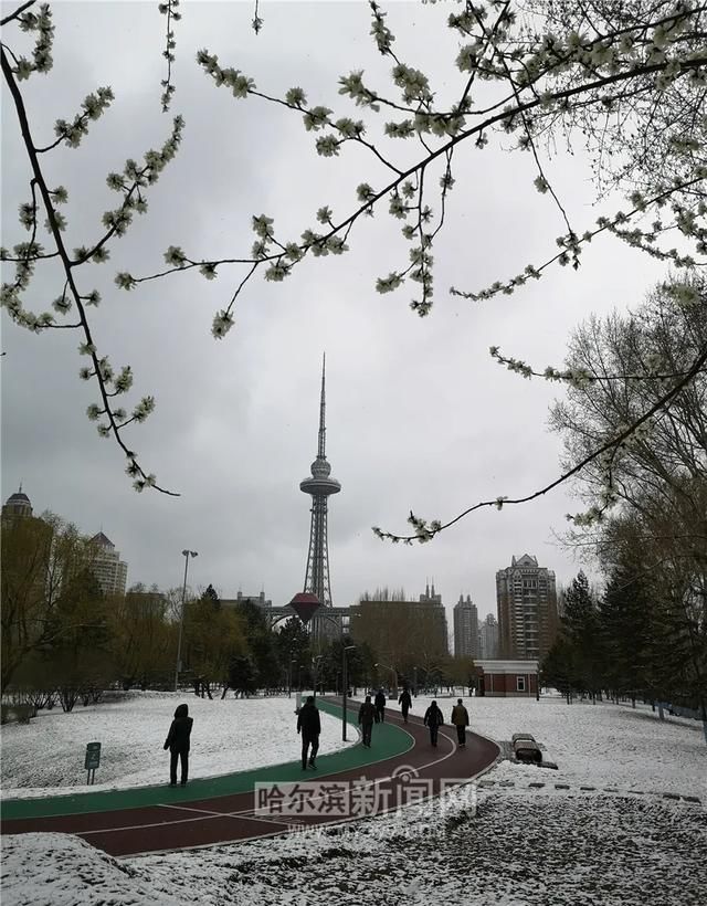 「交警部门」黑龙江这场大暴雪史上只现两次,专家分析来了!27日后可能…