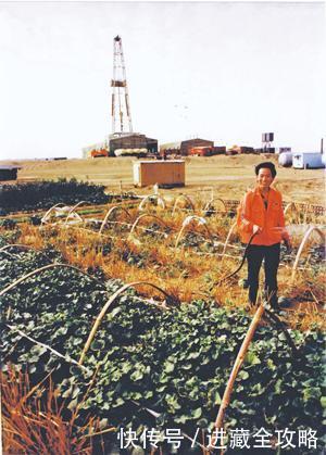  #沙漠中#来聊一聊在塔克拉玛干沙漠里种西瓜