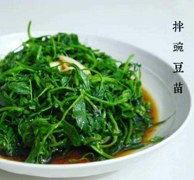  『野豌豆』这种野生豌豆堪比山珍，掐点嫩芽唇齿留香，揪点种子自家就能种