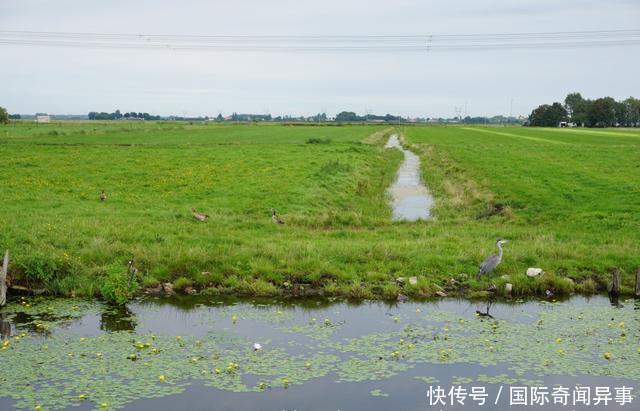高度发达国家的农村风景——荷兰农村是这个样子的