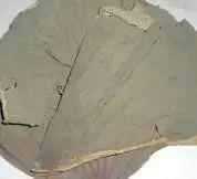 中医减肥土法子,每天1杯清肠垃圾宿便,我试8天就排出5斤!