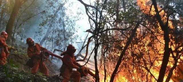 凉山救火烈士张帅，什么时候入党，什么时候再回家，让人泪目！