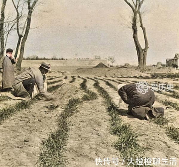  『焚烧纸钱』民国时清明扫墓的上色彩照：趴在亲人坟头哭诉 割舍不了的思念
