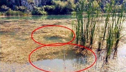  「适合」适合野钓的几种钓位，这些地方鱼扎堆，位置选得对，不愁钓不到鱼