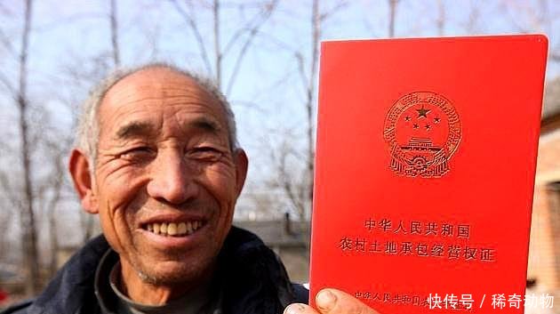 父母是农村户口，儿女是城镇户口，土地房屋该如何确权