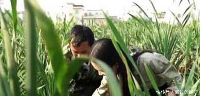 农村夫妻废水田培植一种宝贝，四季生长，一斤就卖20元