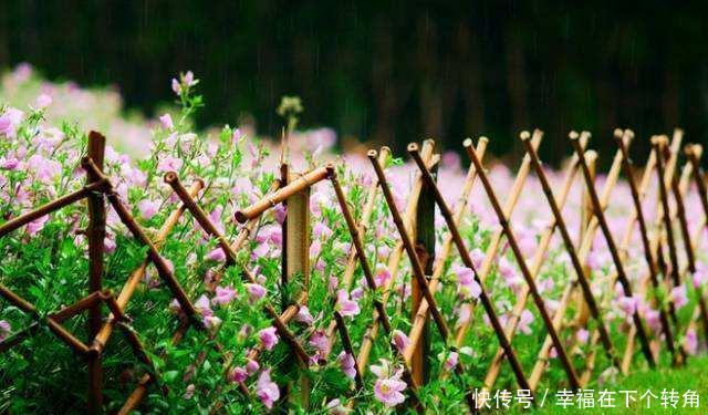  「快乐」篱笆小院住在乡村的快乐，你想体验吗！