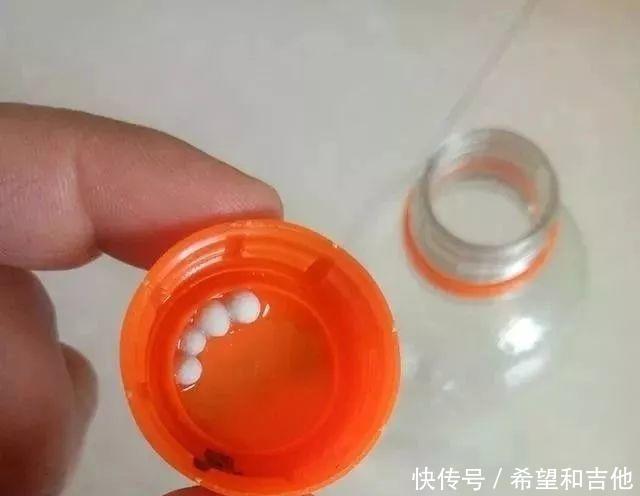 长爆@铜钱草“超爱”1种肥,半月浇1次,蹭蹭长爆盆,叶子比硬币大3倍!